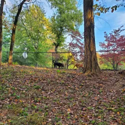 Lenoir City Park - Lenoir