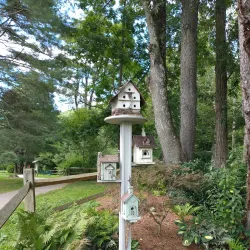 Valle Crucis Community Park - Lenoir