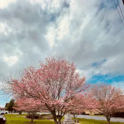 Catawba County Library - Maiden Branch - Maiden