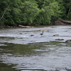 South Fork Catawba River Park - Maiden