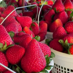Lake Norman Farmers Market - Mooresville