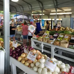 Lake Norman Farmers Market - Mooresville