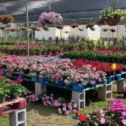 Lake Norman Farmers Market - Mooresville