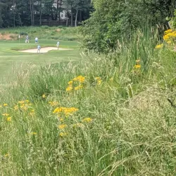 Mooresville Golf Course - Mooresville