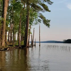 Jordan Lake State Recreation Area - Morrisville