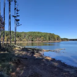 Jordan Lake State Recreation Area - Morrisville