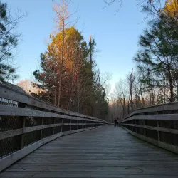 Morrisville Community Park - Morrisville