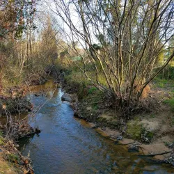 Morrisville Community Park - Morrisville