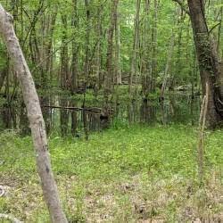 Morrisville Greenway Trail - Morrisville