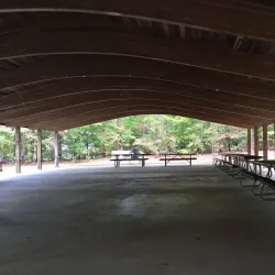 Piney Woods Park - Morrisville