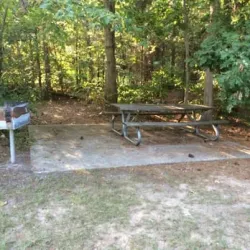 Piney Woods Park - Morrisville