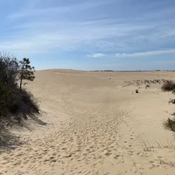 Jockey's Ridge State Park - Nags Head