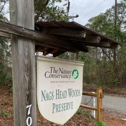 Nags Head Woods Ecological Preserve - Nags Head