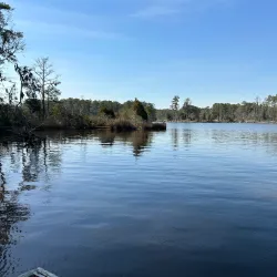 Goose Creek State Park - New Bern