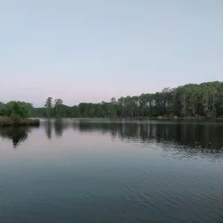 Goose Creek State Park - New Bern