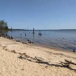 Goose Creek State Park - New Bern
