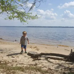 Goose Creek State Park - New Bern