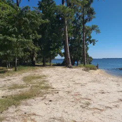 Goose Creek State Park - New Bern