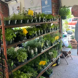 New Bern Farmers Market - New Bern