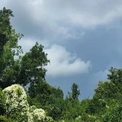 New Bern Riverwalk - New Bern