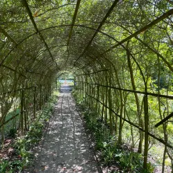 Tryon Palace - New Bern