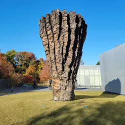 North Carolina Museum of Art - Raleigh