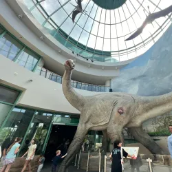 North Carolina Museum of Natural Sciences - Raleigh