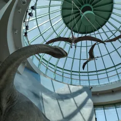 North Carolina Museum of Natural Sciences - Raleigh