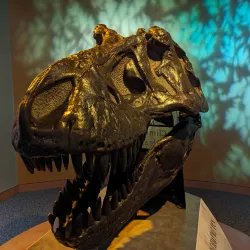 North Carolina Museum of Natural Sciences - Raleigh