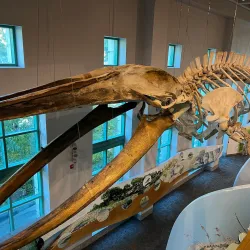 North Carolina Museum of Natural Sciences - Raleigh