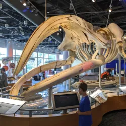 North Carolina Museum of Natural Sciences - Raleigh