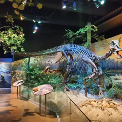 North Carolina Museum of Natural Sciences - Raleigh