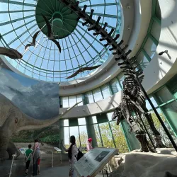 North Carolina Museum of Natural Sciences - Raleigh