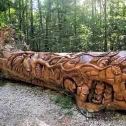 William B. Umstead State Park - Raleigh