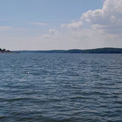 Roanoke Rapids City Lake Park - Roanoke Rapids