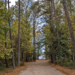 Roanoke Rapids City Lake Park - Roanoke Rapids
