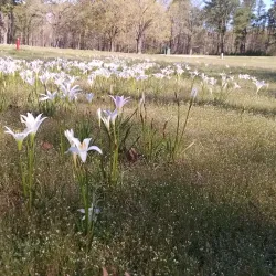 Roanoke Rapids Country Club - Roanoke Rapids