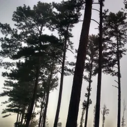 Roanoke Rapids Country Club - Roanoke Rapids