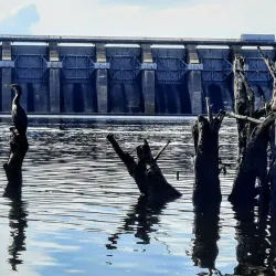 Roanoke River - Roanoke Rapids