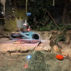 Rocky Mount Children's Museum and Science Center - Rocky Mount