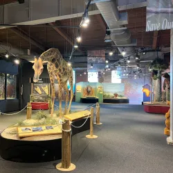 Rocky Mount Children's Museum and Science Center - Rocky Mount
