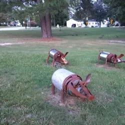 Rocky Mount City Lake Park - Rocky Mount