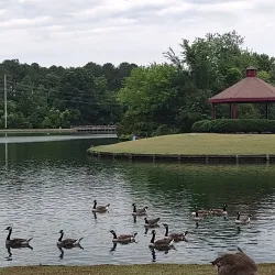 Rocky Mount City Lake Park - Rocky Mount