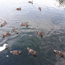 Rocky Mount City Lake Park - Rocky Mount
