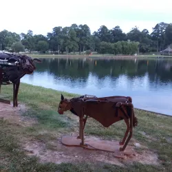 Rocky Mount City Lake Park - Rocky Mount