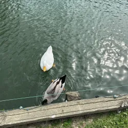 Rocky Mount City Lake Park - Rocky Mount