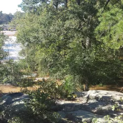 Rocky Mount Mills - Rocky Mount