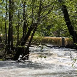 Rocky Mount Mills - Rocky Mount