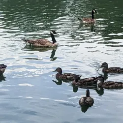 Sunset Park - Rocky Mount