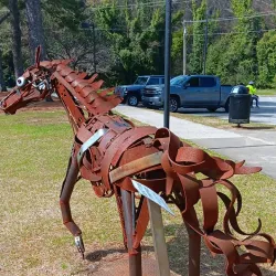 Sunset Park - Rocky Mount